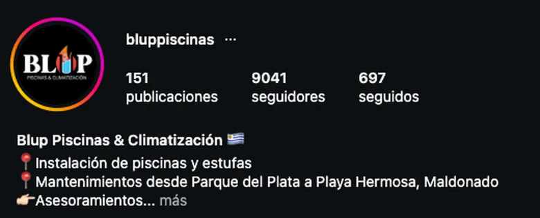 Perfil de Instagram de Blup (@bluppiscinas): 151 publicaciones, 9.041 seguidores, y la descripción “Blup Piscinas & Climatización”.